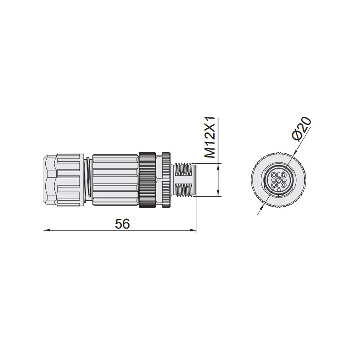 M12 5Pin、公头直型、食品級、螺钉连接、64F309