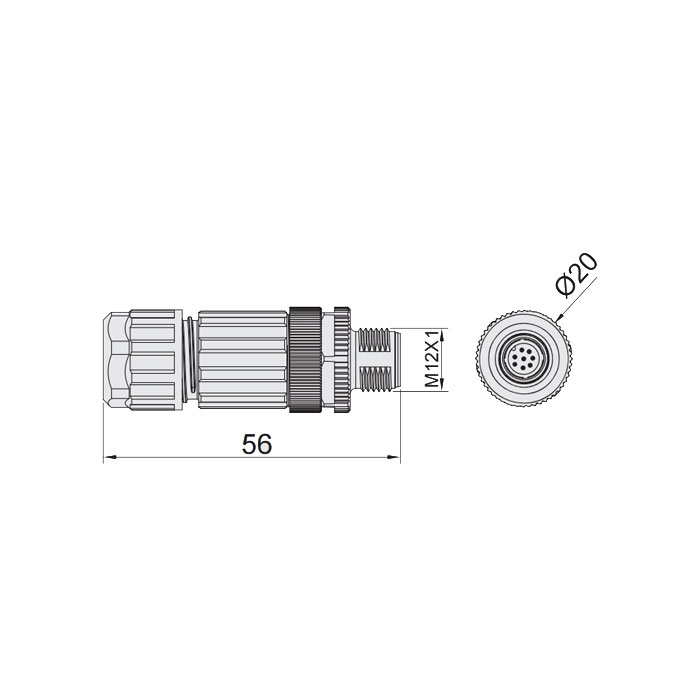 M12 8Pin、公头直型、食品級、螺钉连接、64F389