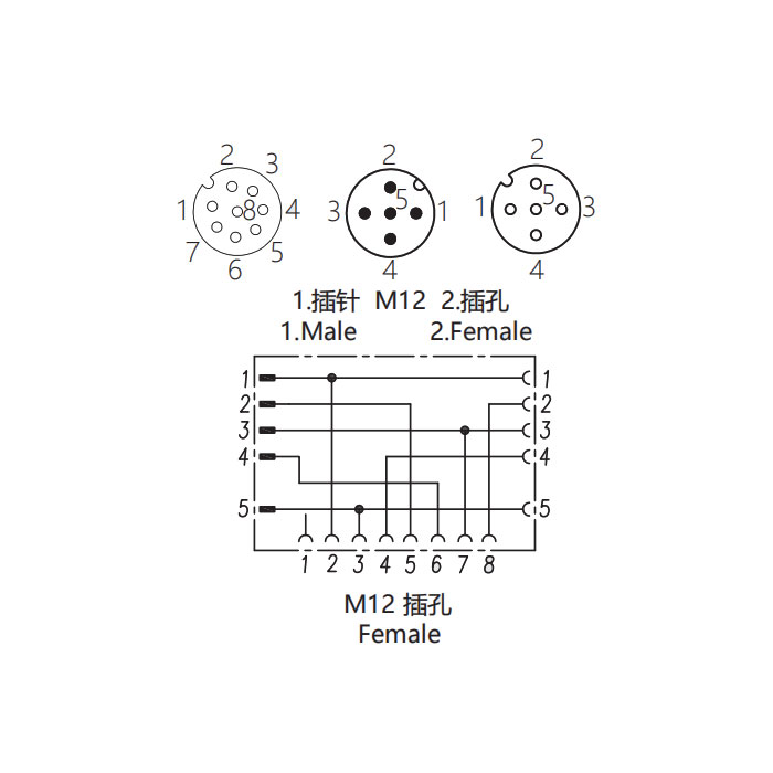 M12 8Pin母头/M12 5Pin公头+M12 5Pin母头、三通接头、648551