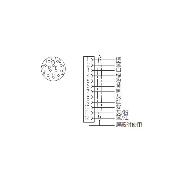 M12 12Pin、母头直型、单端预铸PUR柔性电缆、带屏蔽、黑色护套、64S383-XXX