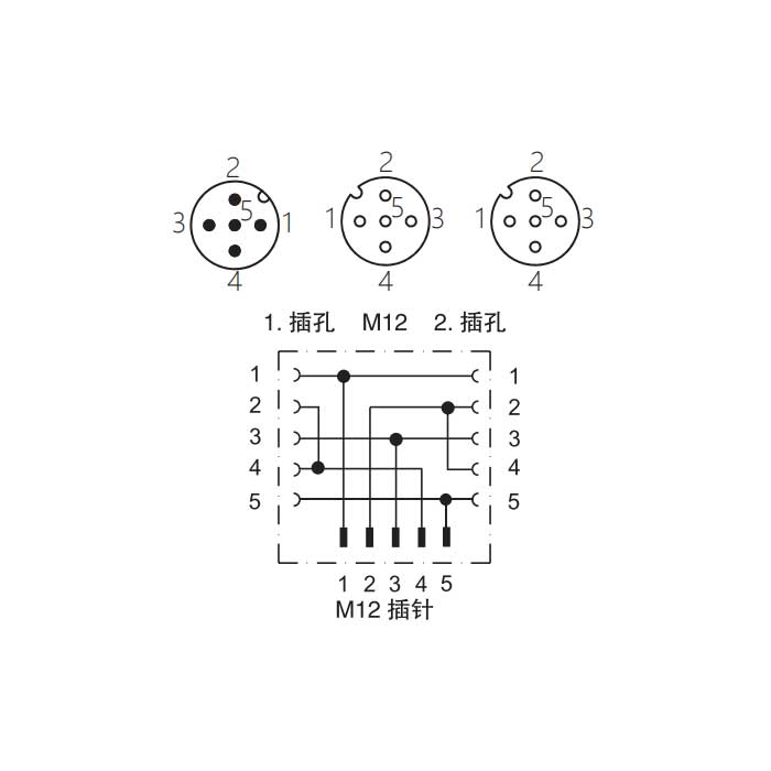 M12 5Pin公头/2M12 5Pin母头、Y型插接器、644481